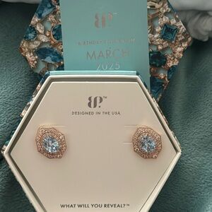 Bomb Party March 2025 Earrings - ER40772 "Best There Is" Aquamarine on Gold